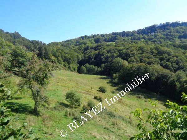 Environnement calme et d : vente vente de 6 pi&egrave;ces - grande image 6