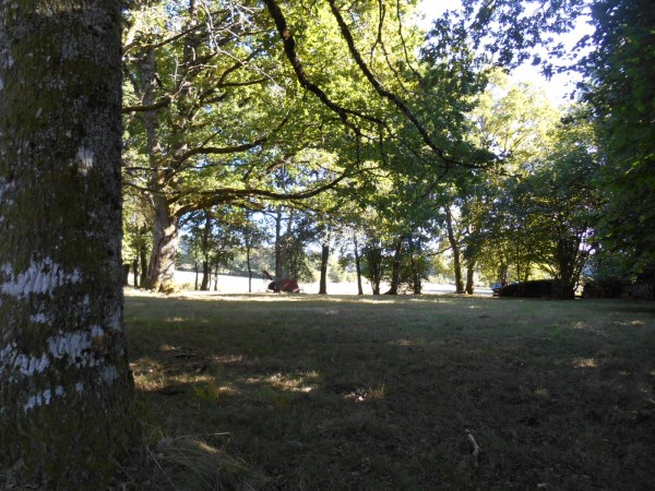 LA CHAPELLE SPINASSE : vente vente  - grande image 2