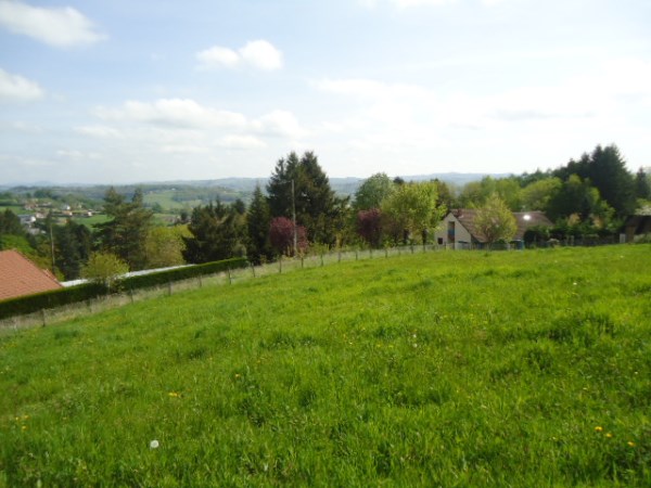 HAUTEURS DE TULLE : vente vente  - grande image 3