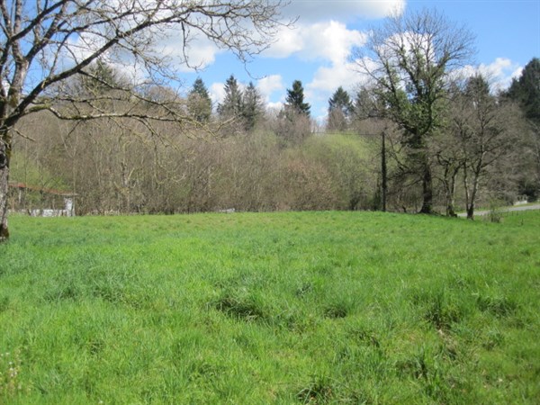 SECTEUR LAGRAULIERE : vente vente  - grande image 2