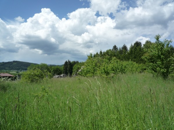 Meymac : vente Terrain 0 - vignette 1