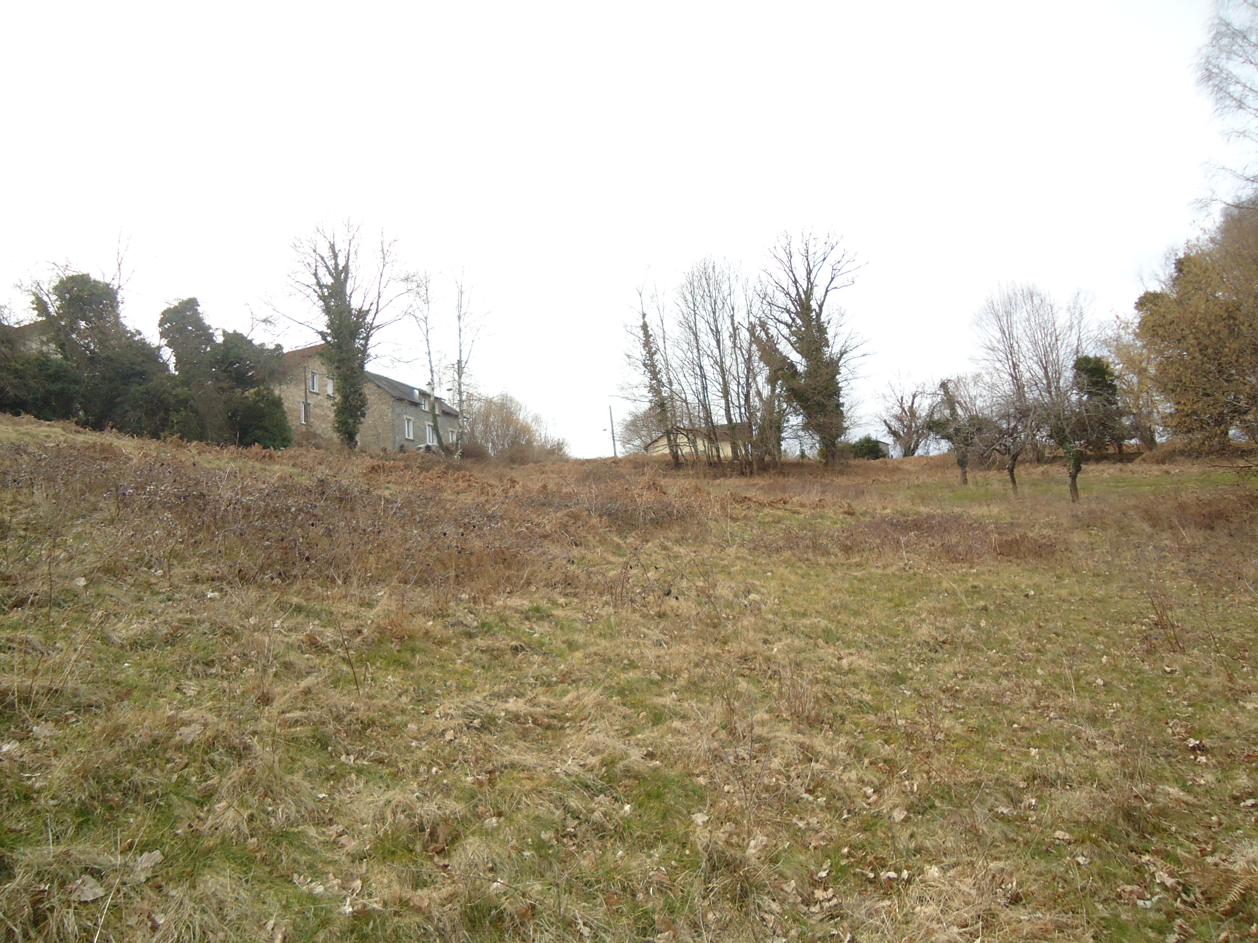 TULLE : vente Terrain 0 - vignette 1