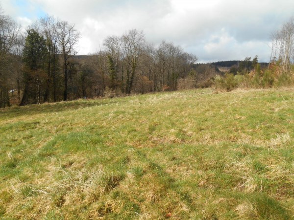 EGLETONS : vente Terrain 0 - vignette 1