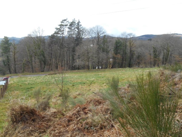 EGLETONS : vente vente  - grande image 2