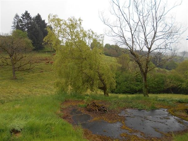 Saint Augustin : vente vente de 4 pi&egrave;ces - grande image 10