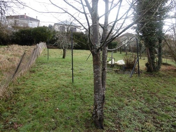 TULLE : vente vente de 7 pi&egrave;ces - grande image 4