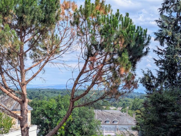 NEUVIC : vente vente de 5 pi&egrave;ces - grande image 10