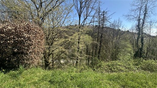 CHANAC LES MINES : vente vente de 4 pi&egrave;ces - grande image 10