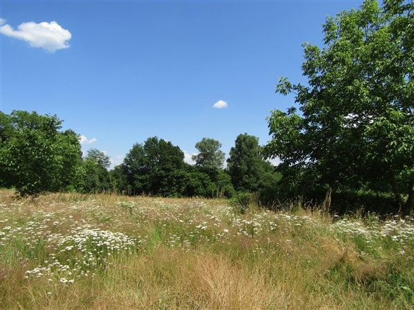 Entre Clergoux et Marcillac : vente vente de 7 pi&egrave;ces - grande image 2