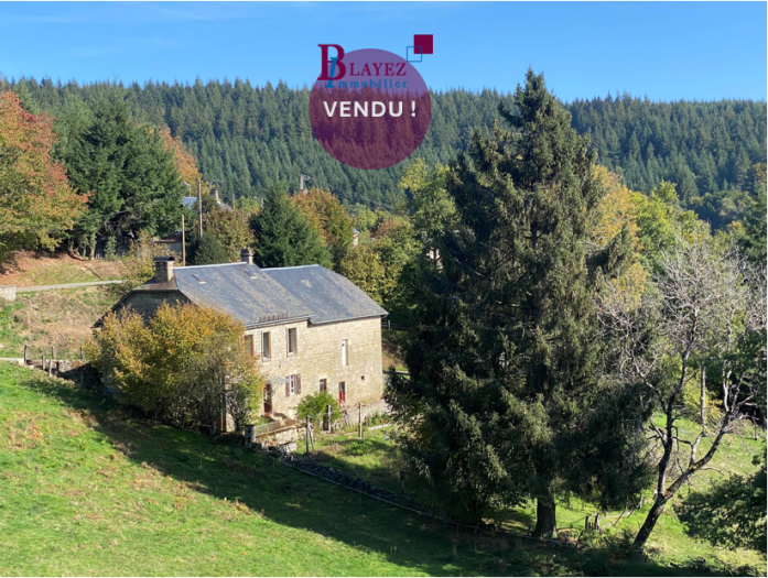 PLATEAU DE MILLEVACHES : vente Maison 8 - vignette 1