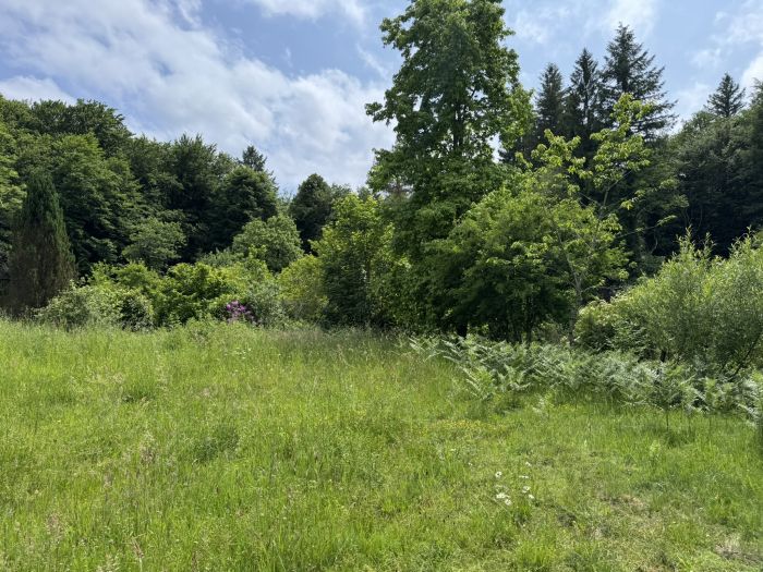 &Agrave; 10 MINUTES D'EGLETONS - DIRECTION MARCILLAC : vente vente de 8 pi&egrave;ces - grande image 9