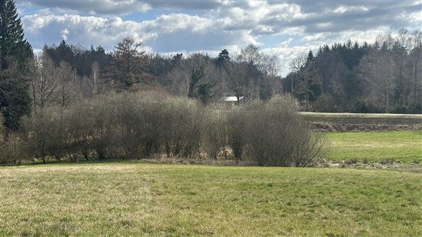 SAINT MARTIAL DE GIMEL : vente vente  - grande image 2