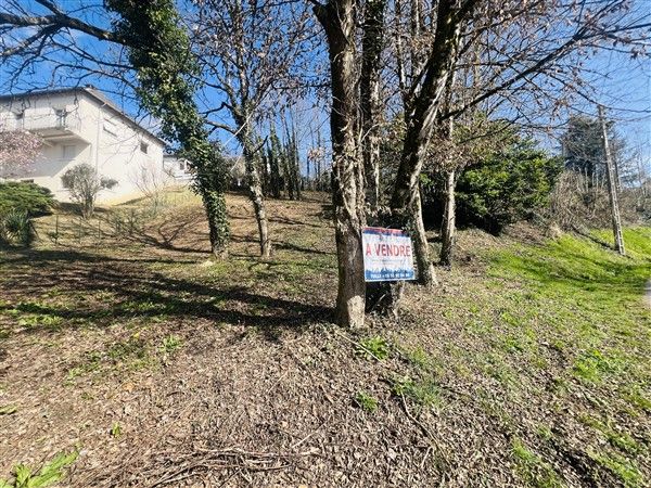 TULLE QUARTIER LYCEE : vente vente  - grande image 2