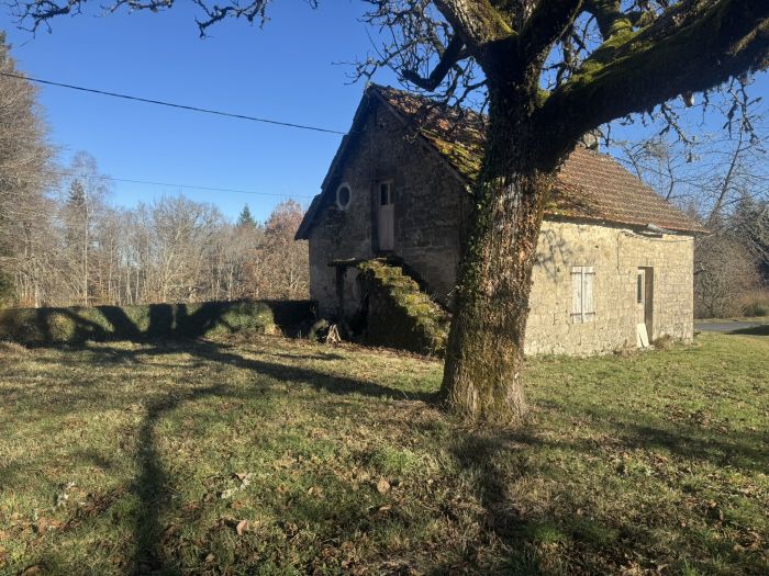 DANS UN ENVIRONNEMENT CALME A 5MIN D'EGLETONS : vente vente de 7 pi&egrave;ces - grande image 3