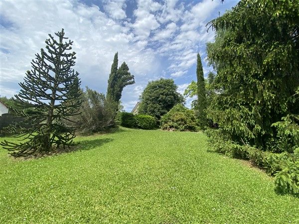 TULLE : vente vente de 6 pi&egrave;ces - grande image 5