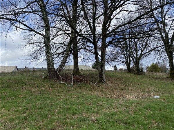 EGLETONS : vente vente  - grande image 3