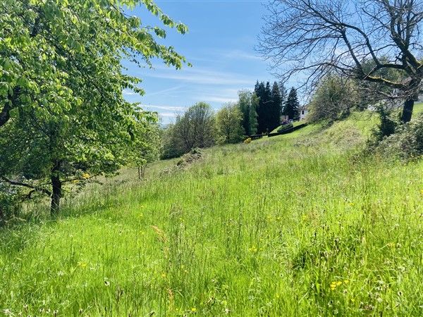 secteur chanac les mines : vente Terrain 0 - vignette 1