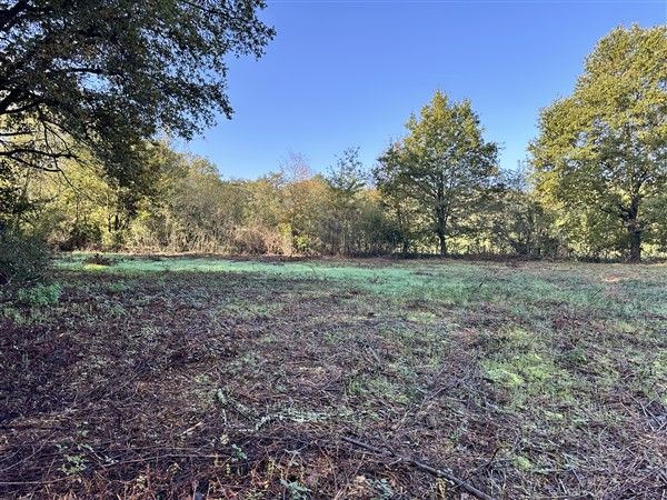 Brive Ouest : vente vente  - grande image 2