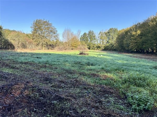 Brive Ouest : vente vente  - grande image 3