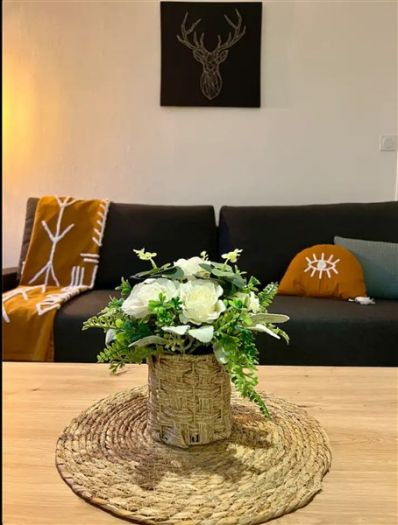 Centre ville : vente vente de 2 pi&egrave;ces - grande image 6