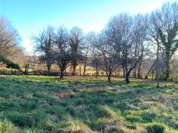 St JULIEN-LE-PELLERIN : vente vente de 2 pi&egrave;ces - grande image 8