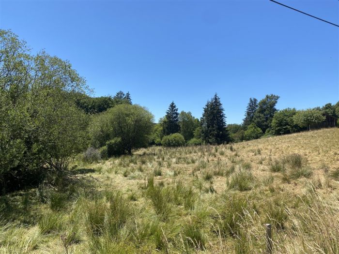 Plateau de Millevaches : vente vente de 4 pi&egrave;ces - grande image 10