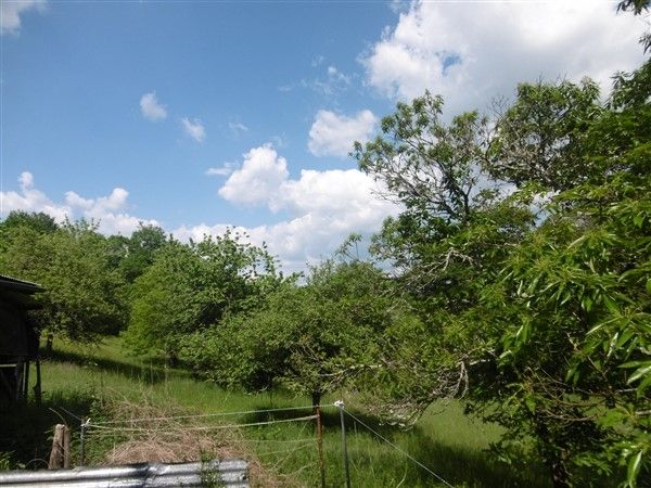 Chanteix : vente vente de 3 pi&egrave;ces - grande image 3