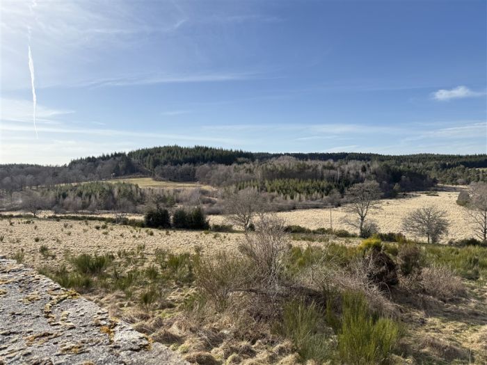 A l'Ouest du Plateau de Millevaches : vente vente  - grande image 8