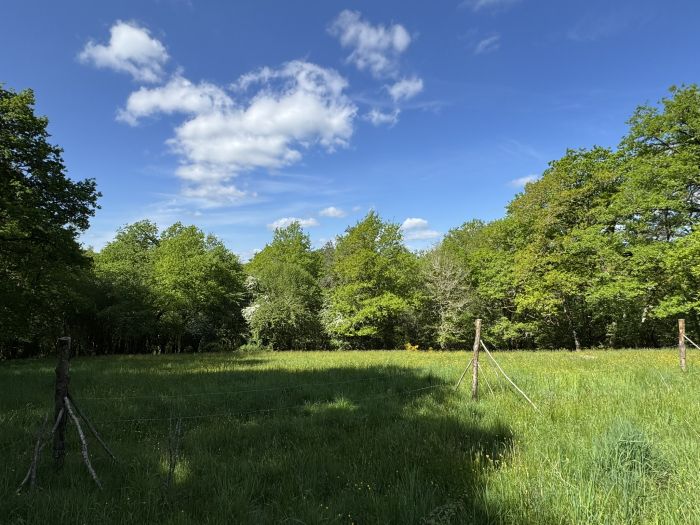 SECTEUR MOUSTIER-VENTADOUR : vente vente de 4 pi&egrave;ces - grande image 4