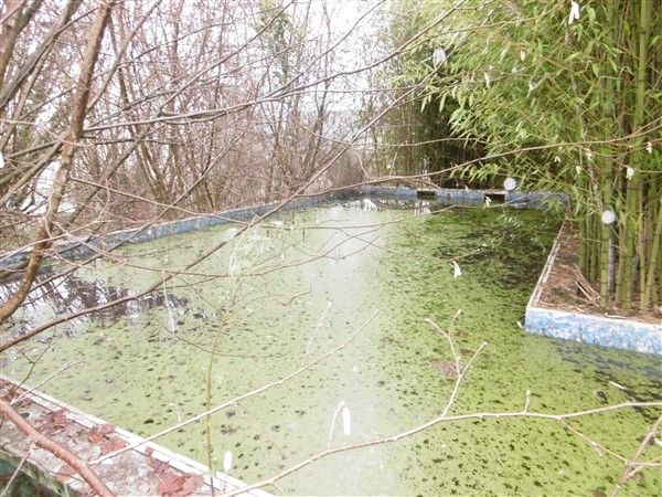 Saint Cl&eacute;ment : vente vente  - grande image 8