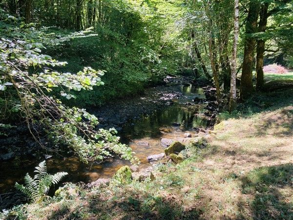 SECTEUR LAGUENNE : vente vente de 4 pi&egrave;ces - grande image 4