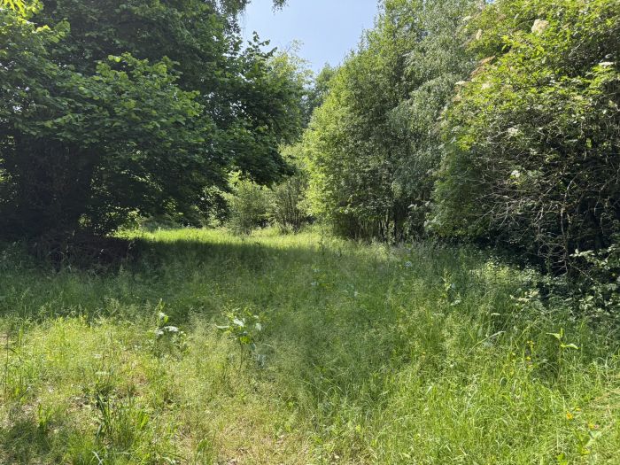 VITRAC-SUR-MONTANE : vente vente de 7 pi&egrave;ces - grande image 4