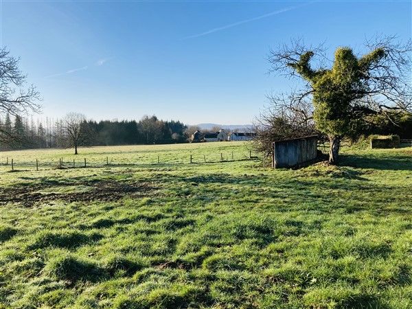 ENTRE TULLE ET LAGARDE ENVAL : vente vente de 7 pi&egrave;ces - grande image 4