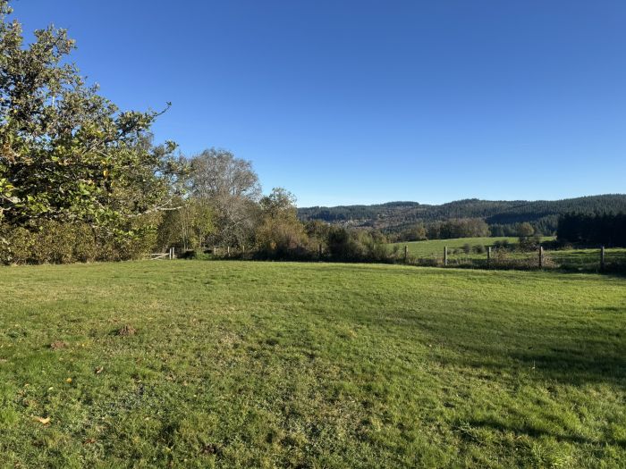 DANS SON ECRIN DE VERDURE A 10MIN D'EGLETONS : vente vente de 7 pi&egrave;ces - grande image 2