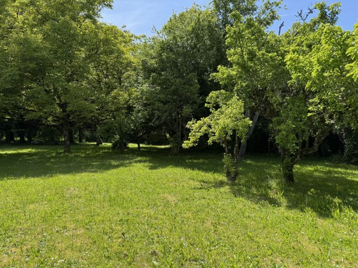 MONTAIGNAC-SUR-DOUSTRE : vente vente de 5 pi&egrave;ces - grande image 3