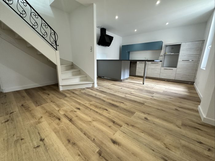 Quartier des Lyc&eacute;es : vente Maison 0 - vignette 1