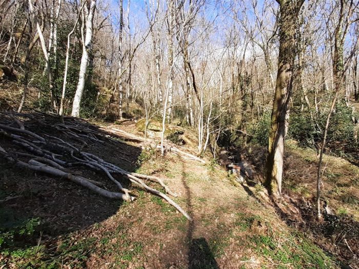 ARGENTAT : vente vente de 2 pi&egrave;ces - grande image 10