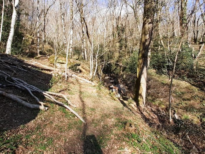 ARGENTAT : vente vente de 2 pi&egrave;ces - grande image 8