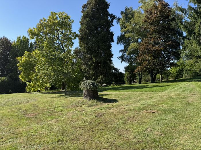 MARCILLAC-LA-CROISILLE : vente vente de 12 pi&egrave;ces - grande image 4