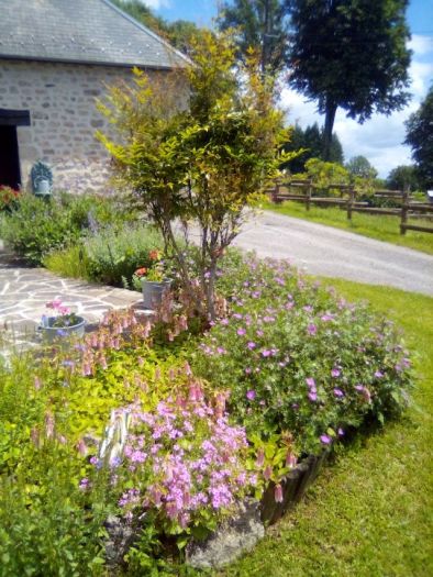 Sornac : vente vente de 6 pi&egrave;ces - grande image 2