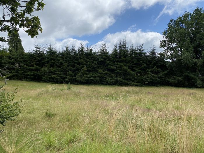 Plateau de Millevaches : vente vente de 5 pi&egrave;ces - grande image 4