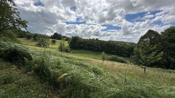 SAINTE FORTUNADE : vente vente de 10 pi&egrave;ces - grande image 10