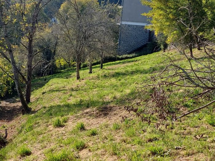 TULLE QUARTIER LYCEES/COLLEGES : vente vente  - grande image 2