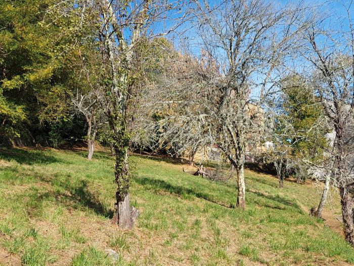 TULLE QUARTIER LYCEES/COLLEGES : vente vente  - grande image 3