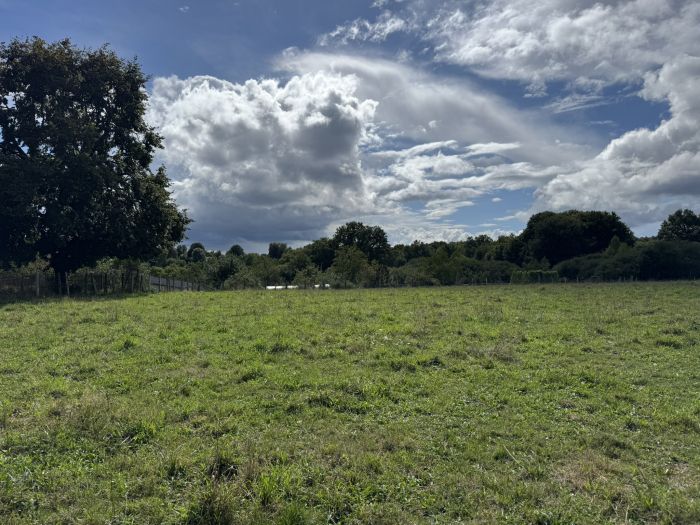 SAINT MERD DE LAPLEAU : vente vente  - grande image 2