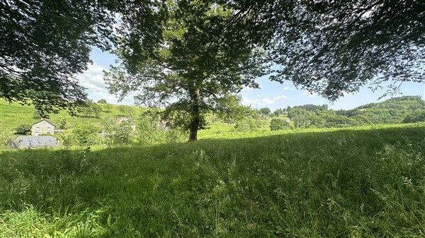 SAINTE FORTUNADE : vente Terrain 0 - vignette 1