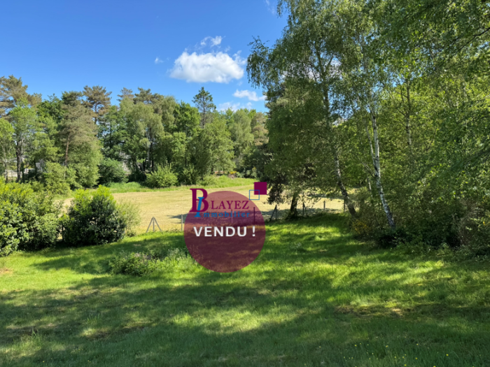 ENTRE EGLETONS ET TULLE : vente Terrain 0 - vignette 1