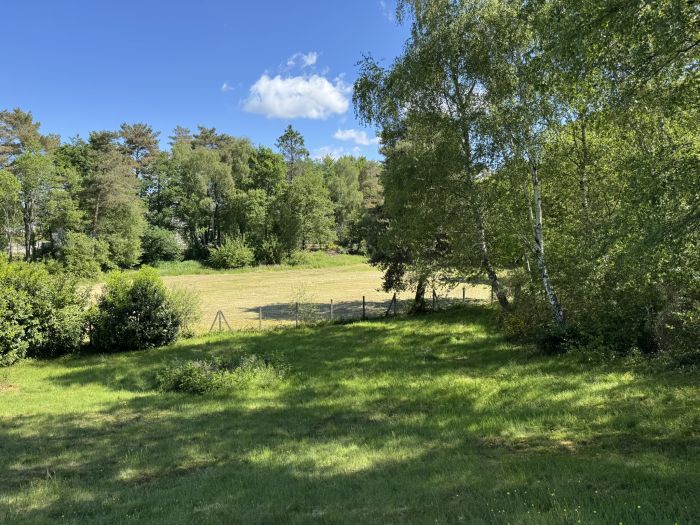 ENTRE EGLETONS ET TULLE : vente vente  - grande image 2