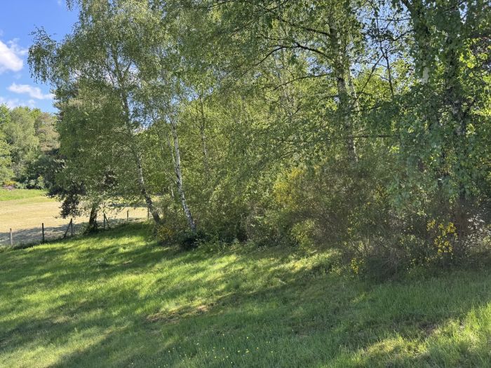 ENTRE EGLETONS ET TULLE : vente vente  - grande image 3