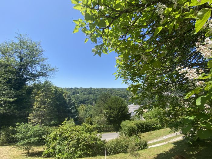 HAUTEURS MULATET - STE FORTUNADE : vente vente  - grande image 3